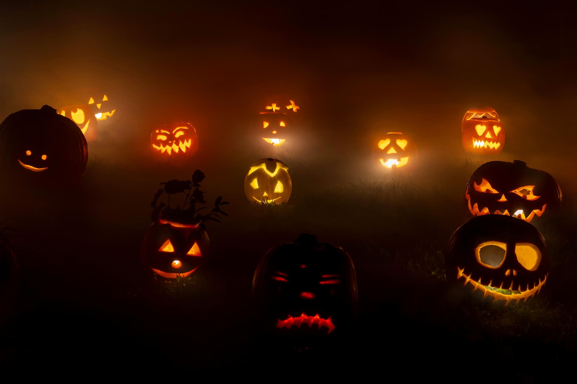 Halloween: Beyond the Candy Corn